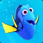 DoRy