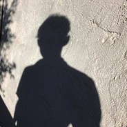 葡萄树上架葡萄