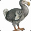 Pickwick