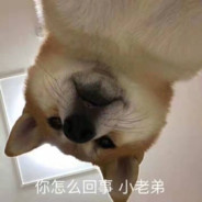 青岛红孔雀舞厅