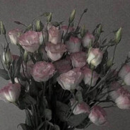 多久才能见面呢