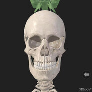 大白鲨和小沙沙