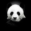 Panda's avatar