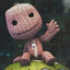 sackboy