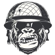 Instagram/chipchila_