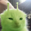 shrek