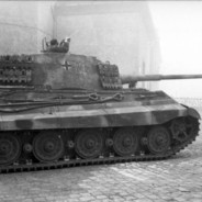 Tiger Tank Tom