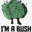 Im a bush