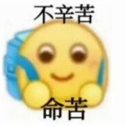 我才不是大怨种 哈哈