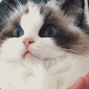 勿以鳝小而不为