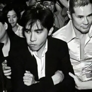 翻斗花园突击手