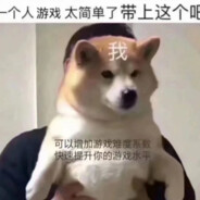 西瓜是善良的水果🍉