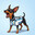 snoop dobby SKINS