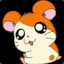 Hamtaro