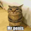Mr.penis