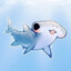 Maple_Shark