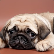 长城周虎振是条*