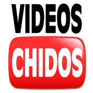 VIDEOS CHIDOS