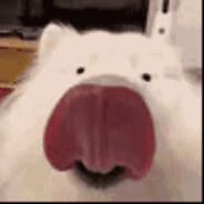 猪脑过载时用newnew思考