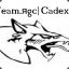 Team.яgc|Cadex