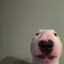 fds