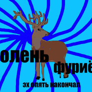 евгений2017 avatar
