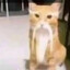 PhAnToM_HiSs