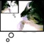 Foxtrot