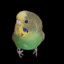 deqsn1