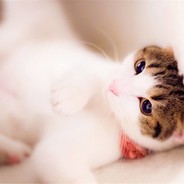 你才会把我记起