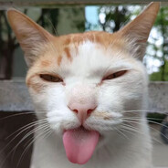 碎绿花裙猪肉妹