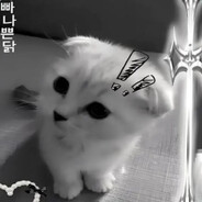 Korkiiiiii's avatar