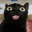 PIPUKA