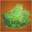 Bush