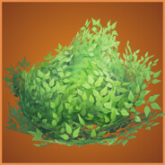 Bush