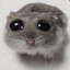 Kroz