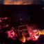 no_hate_like_gun |