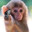 Mieffer