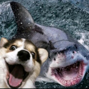 光锥之内皆是命运