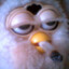 a high furby