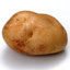 POTATO BRAIN