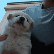 我就爱吃虾扯蛋