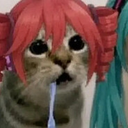 サエ