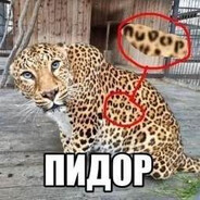 Egr_ avatar