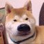 伞兵