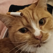 心中无人自有人