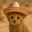 lil_cheetos