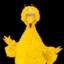 BigBird