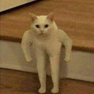 ᴿᵒˡᵉˣⁱʳ