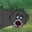 Baloo